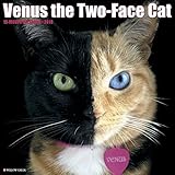 Venus the Two-fFce Cat 2018 Calendar livre