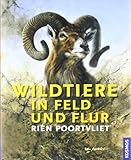 Wildtiere in Feld und Flur livre