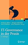 IT-Governance in der Praxis: Erfolgreiche Positionierung der IT im Unternehmen. Anleitung zur erfolg livre