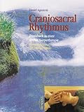 Craniosacral Rhythmus: Praxisbuch zu einer sanftern Körpertherapie livre