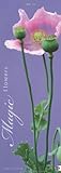 Magic Flowers Vertical 2013 livre
