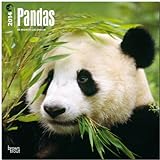 Pandas 18-Month 2014 Calendar livre
