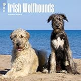 Irish Wolfhounds - Irische Wolfshunde 2018 - 18-Monatskalender mit freier DogDays-App: Original Brow livre