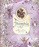 Fairyopolis: A Flower Fairies Journal livre