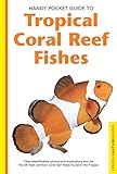 Handy Pocket Guide to Tropical Coral Reef Fishes (Handy Pocket Guides) (English Edition) livre