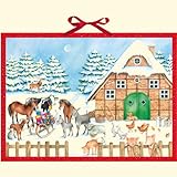 Weihnacht auf dem Bauernhof: Adventskalender livre