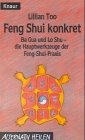 Feng Shui konkret. Ba Gua und Lo Shu - die Hauptwerkzeuge der Feng-Shui-Praxis (Knaur Taschenbücher livre