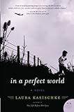In a Perfect World: A Novel livre