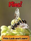 Flies! Learn About Flies and Enjoy Colorful Pictures - Look and Learn! (50+ Photos of Flies) (Englis livre