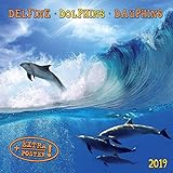 Dolphins/Delfine 2019: Kalender 2019 (Artwork Edition) livre