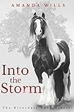 Into the Storm (The Riverdale Pony Stories Book 3) (English Edition) livre