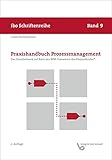 Praxishandbuch Prozessmanagement - Das Standardwerk auf Basis des BPM Framework ibo-Prozessfenster® livre