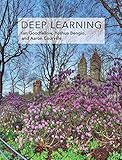 Deep Learning (Adaptive Computation and Machine Learning series) (English Edition) livre