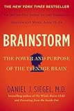 Brainstorm: The Power and Purpose of the Teenage Brain livre