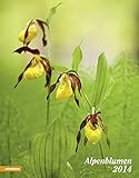 Alpenblumen 2014 livre