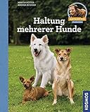 Haltung mehrerer Hunde: Martin Rütters Hundeschule livre