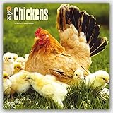 Chickens 2016 - Hühner - 18-Monatskalender: Original BrownTrout-Kalender [Mehrsprachig] [Kalender] livre