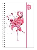 Collegetimer Flamingo 2017/2018 - Schülerkalender A5 - Weekly - Ringbindung - 224 Seiten livre