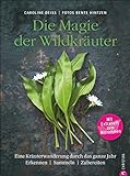 Wildkräuter Kochbuch: Die Magie der Wildkräuter. Eine Kräuterwanderung durch das ganze Jahr. Erke livre