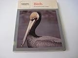 Birds: Readings from Scientific American livre