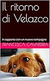 Il ritorno di Velazco: A rapporto con un nuovo compagno (Un altro caso per l'ispettore Velazco) (Ita livre