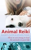 Animal Reiki: How to use energy to heal the animals in your life (English Edition) livre
