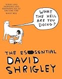 What the Hell Are You Doing?: The Essential David Shrigley livre
