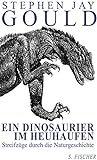 Ein Dinosaurier im Heuhaufen: Streifzüge durch die Naturgeschichte livre