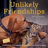 Unlikely Friendships 2014 Calendar: A Celebration of Remarkable Friendships in the Animal Kingdom livre