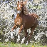 Pferde 2017 - Tierkalender, Broschürenkalender, Wandkalender, Pferdekalender - 30 x 30 cm livre