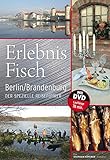 Erlebnis Fisch Berlin/Brandenburg: Der spezielle Reiseführer livre