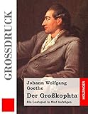 Der Großkophta (Großdruck) livre