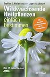 Wildwachsende Heilpflanzen einfach bestimmen: Die 50 beliebtesten Arten Mit Rezepten und Anwendungen livre