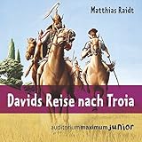 Davids Reise nach Troia livre