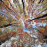 Wald 2017 - A&I Landschaftskalender, Naturkalender, Wandkalender - 30 x 30 cm livre