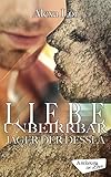 Liebe unbeirrbar (Jäger der Dessla 3) livre