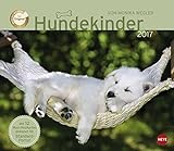 Wegler Hundekinder Maxi Postkartenkalender - Kalender 2017 livre