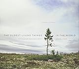 The Oldest Living Things in the World livre