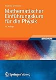 Mathematischer Einführungskurs für die Physik livre