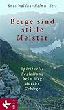 Berge sind stille Meister: Spirituelle Begleitung beim Weg durchs Gebirge livre