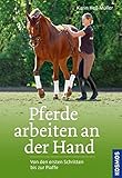 Pferde arbeiten an der Hand livre