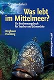 Was lebt im Mittelmeer?: Ein Bestimmungsbuch für Taucher und Schnorchler livre