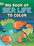 Big Book of Sea Life to Color livre