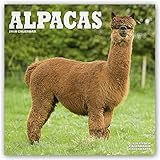 Alpacas - Alpakas 2018: Original Avonside-Kalender [Mehrsprachig] [Kalender] (Wall-Kalender) livre