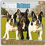 French Bulldogs 2016 - Französische Bulldoggen - 18-Monatskalender mit freier DogDays-App: Original livre