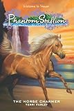 Phantom Stallion: Wild Horse Island #1: The Horse Charmer livre