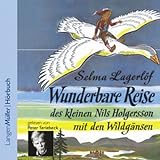 Wunderbare Reise des kleinen Nils Holgersson mit den Wildgänsen livre