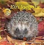 Ein Igeljahr livre