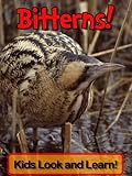 Bitterns! Learn About Bitterns and Enjoy Colorful Pictures - Look and Learn! (50+ Photos of Bitterns livre