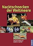 Nacktschnecken der Weltmeere livre